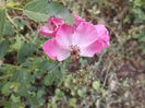 DSCF5892