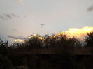 DSCF5895