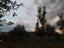 DSCF5897