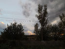 DSCF5902