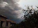 DSCF5904