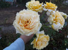 DSCF5916