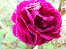 DSCF5925