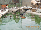 DSCN4708