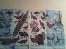 IMG_20130915_161641