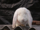 PICT0286