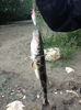 photo (3)