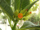DSC00277