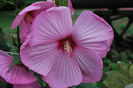 026