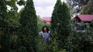 aug2013 si Thuja (plantati in 2008)