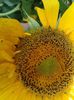 2013-08-16 10.43.28 - Copy
