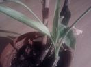 2013-08-28 00.48.32 - Copy