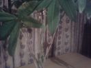 2013-08-28 00.50.13 - Copy