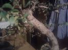 2013-08-28 01.08.58 - Copy