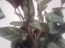 2013-08-28 01.12.34 - Copy