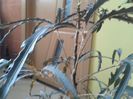 2013-08-29 10.16.52 - Copy