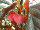 2013-08-29 10.39.03 - Copy