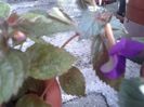 2013-08-29 10.39.45 - Copy