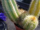 2013-08-29 10.56.13 - Copy