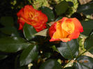 DSCN4168