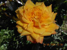 DSCN4172