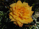 DSCN4173