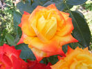 DSCF9732