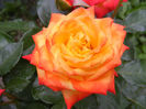 DSCF9765