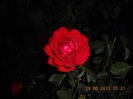 DSCN2355