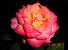 DSCN3614