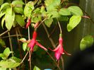 DSCN1645