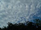 DSCN1660