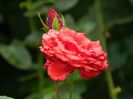 DSCN1762