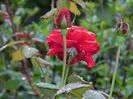 DSCN1783