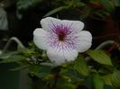 DSCN1799