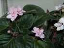 DSCN1803