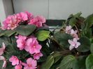 DSCN1804