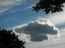 DSCN1811