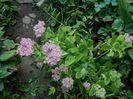 DSCN1828