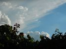 DSCN1849