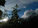 DSCN1855