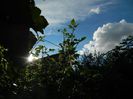 DSCN1856