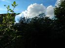 DSCN1857