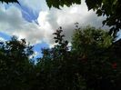 DSCN1868
