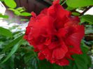 DSCN2057