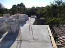DSCN0137