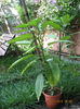 Picture 024