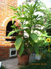 Picture 023