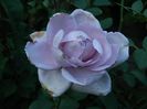 DSCN2161