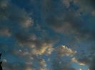 DSCN2224